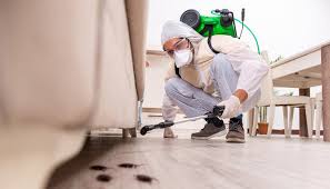 Best Pest Prevention Services  in Frewsburg, NY